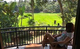 Paddy Field Villa Midigama