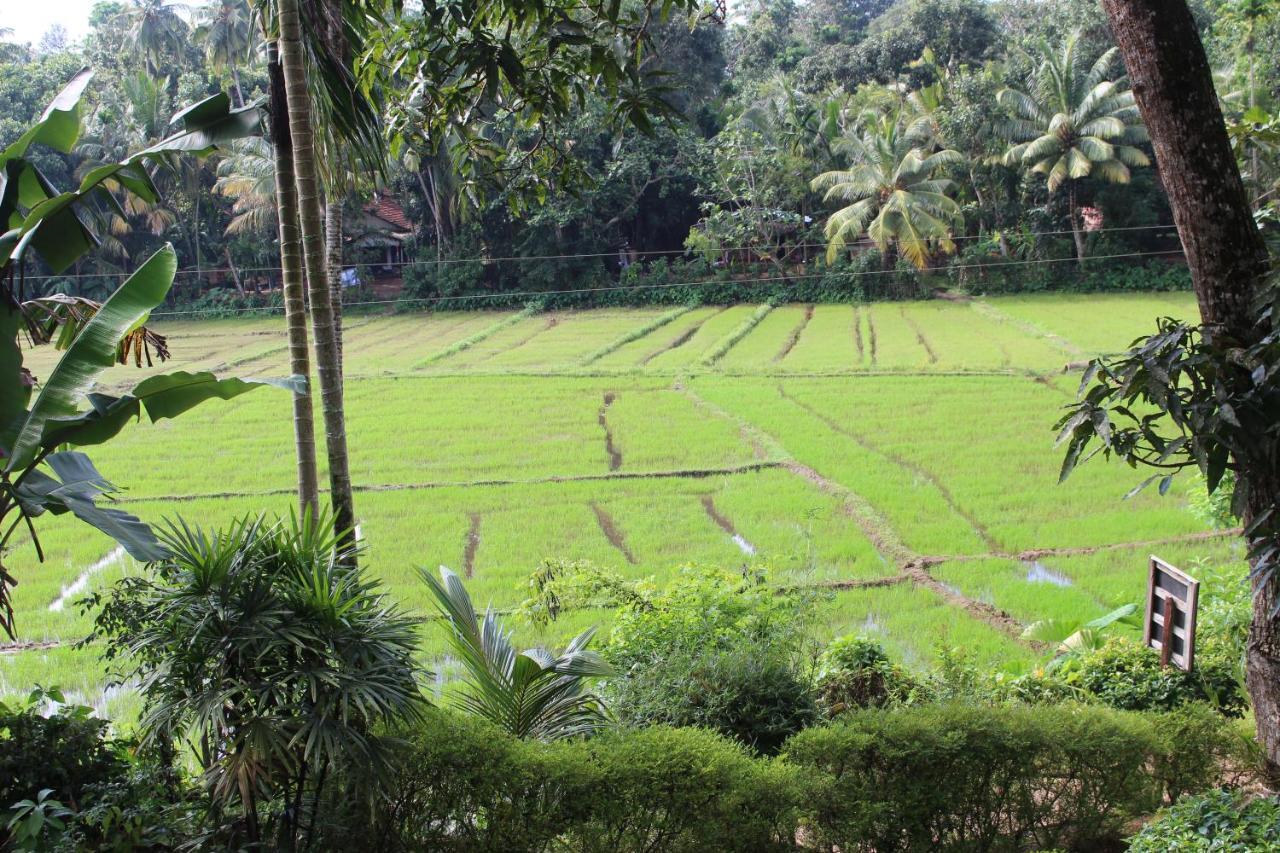 Paddy Field Villa Midigama Exterior photo