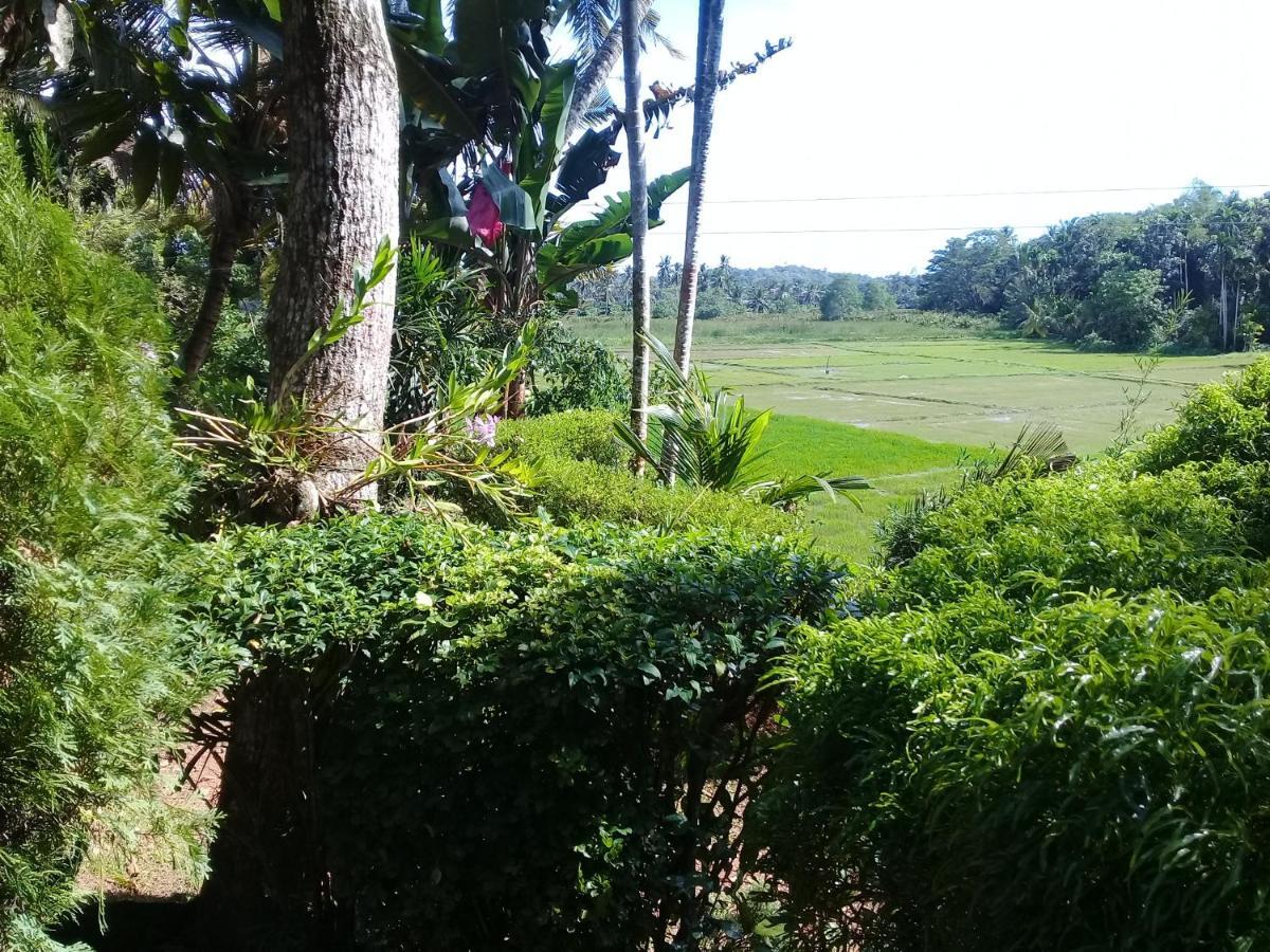 Paddy Field Villa Midigama Exterior photo